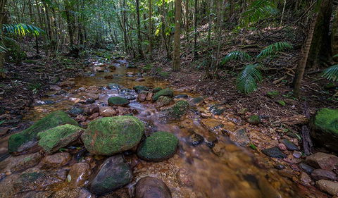 Starrs Creek Picnic Area - Darwin Tourism 0