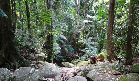 Wollumbin National Park - Darwin Tourism 2