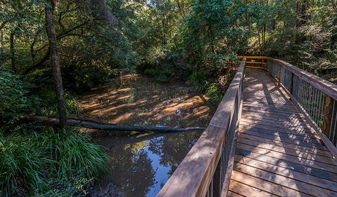 Ms Kellys Walking Track - Darwin Tourism 0