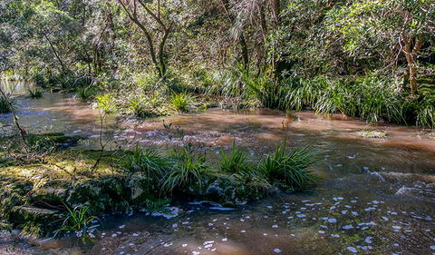 Ms Kellys Walking Track - Darwin Tourism 3