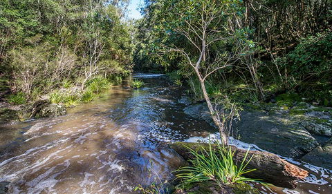 Brimbin Picnic Area - Darwin Tourism 2