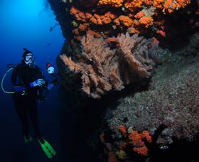 Gotham City Dive Site - Darwin Tourism 0