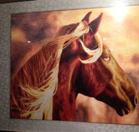 Silk Art Gallery - Darwin Tourism