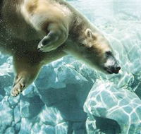 Australia's Sea World - Darwin Tourism