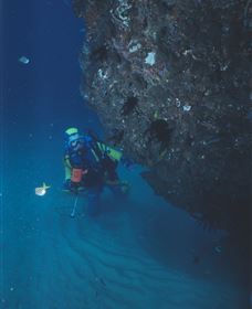 Scottish Prince Dive Site - Darwin Tourism 1