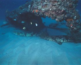 Scottish Prince Dive Site - Darwin Tourism 3