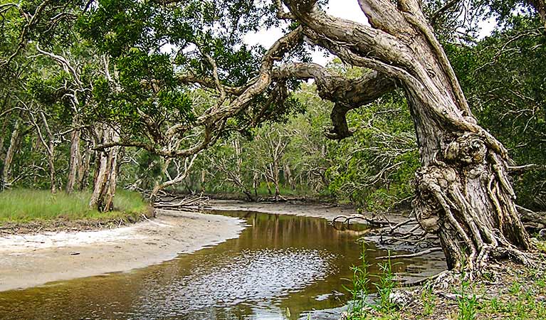 Saltwater NSW Darwin Tourism