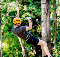 TreeTop Challenge Currumbin - Darwin Tourism