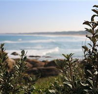 Cape Conran Nature Trail - Darwin Tourism