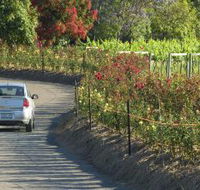 Cassegrain Wines - Darwin Tourism