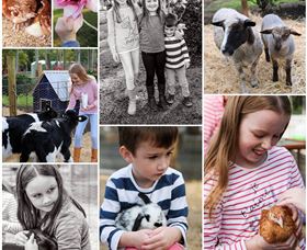 Roses Vineyard And Animal Farm - Darwin Tourism 1