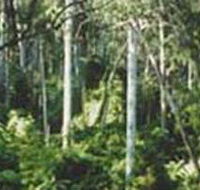 Lind National Park - Darwin Tourism