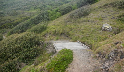 Connors Walking Track - Darwin Tourism 2