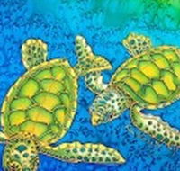 Sea Silks Gallery - Darwin Tourism