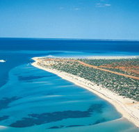 Monkey Mia - Darwin Tourism