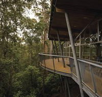 Tarkine Forest Adventures - Dismal Swamp - Darwin Tourism