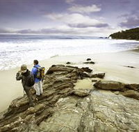 Wilderness Coast Walk - Darwin Tourism