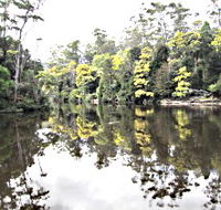 Arthur River - Darwin Tourism