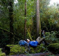 The Tarkine Drive - Darwin Tourism