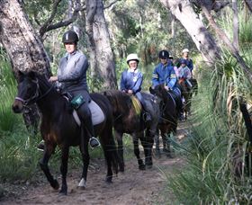 Mirravale Horse Riding School - Darwin Tourism 0