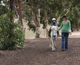 Mirravale Horse Riding School - Darwin Tourism 2