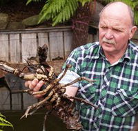 Lobster Ponds - Darwin Tourism