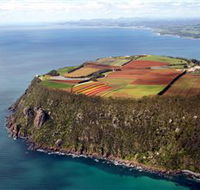 Table Cape - Darwin Tourism