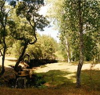 Oldina Picnic Area - Darwin Tourism