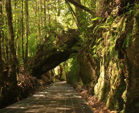 Philosopher Falls - Darwin Tourism 0