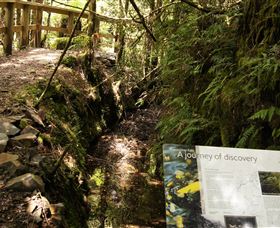 Philosopher Falls - Darwin Tourism 1