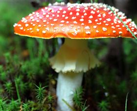 Philosopher Falls - Darwin Tourism 2