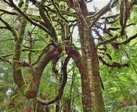 Philosopher Falls - Darwin Tourism 5