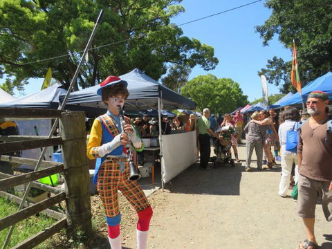 Vision Walks Eco Tours - Darwin Tourism 0