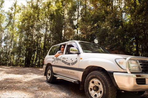 Tall Timbers Adventure Tours - Darwin Tourism 11