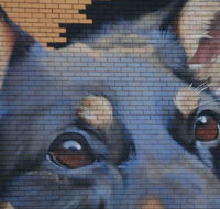 Visit Benalla Tours - Darwin Tourism