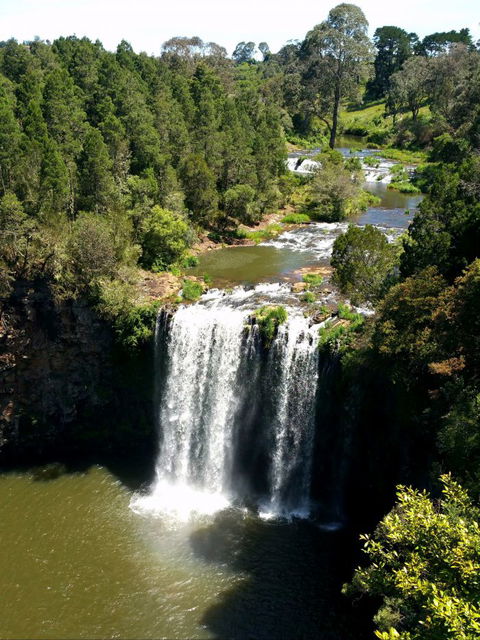A1 Coffs Coast Tours - Darwin Tourism 6