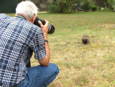Echidna Walkabout Nature Tours - Darwin Tourism 6