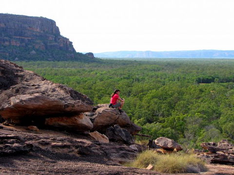 Echidna Walkabout Nature Tours - Darwin Tourism 21