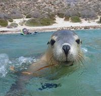 Calypso Star Charters - Darwin Tourism