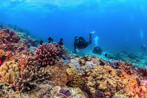 Sunreef Mooloolaba - Darwin Tourism 7