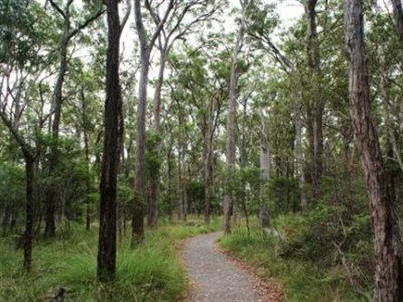 Burpengary QLD Darwin Tourism