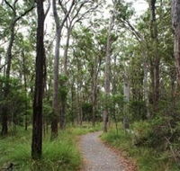 Caboolture Regional Environment Education Centre - Walking Trails - Darwin Tourism