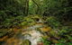 North Queensland Wildscapes Phototours - thumb 2