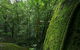 North Queensland Wildscapes Phototours - thumb 4