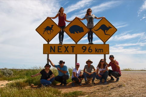Nullarbor Traveller - Darwin Tourism 4