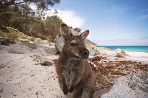 Nullarbor Traveller - Darwin Tourism 28