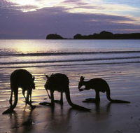 Beachcomber Cove Track - Darwin Tourism