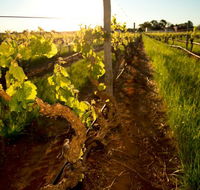 Kaesler Old Vine Vineyard Tour - Darwin Tourism