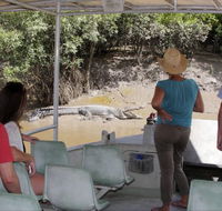 Whitsunday Crocodile Safari - Darwin Tourism