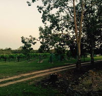 Brierley Wines - Darwin Tourism